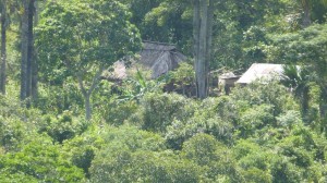 Atauro Island Highlands