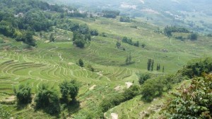 Chinese Rice Terraces