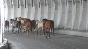 Avalanche Tunnel Bishkek