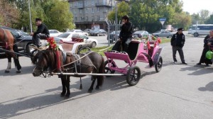 19th sept Biysk pork market (26) 