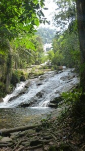 Best camp Malaysia near waterfall Chendiareng, near Tapah (10)