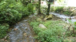 Best camp Malaysia near waterfall Chendiareng, near Tapah (11)