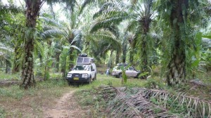 Best camp Malaysia near waterfall Chendiareng, near Tapah (2)