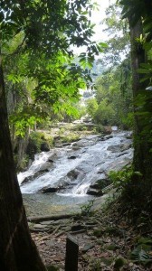 Best camp Malaysia near waterfall Chendiareng, near Tapah (8)