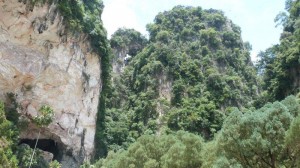 Ipoh Malaysia Tek Look Tong Temple (5)