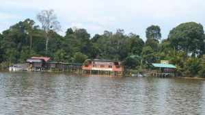 Orang Utan Island Bukit Merah Lake Town Resort Malaysia (4)