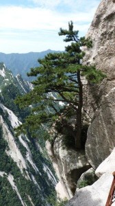 View of Mountains on Huashun Skywalk 6 